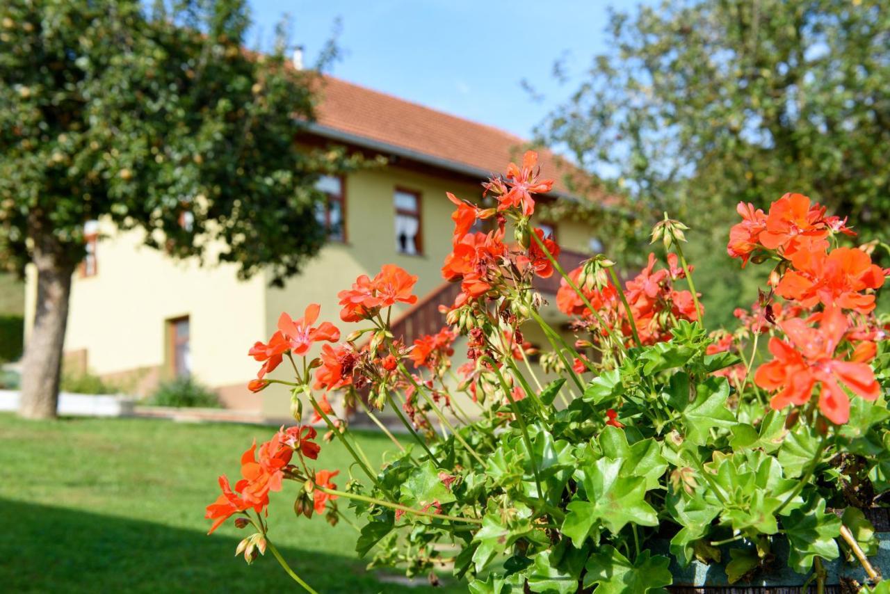 Ruralna Kuca 'Villa Zagorka' Za Odmor Sa Bazenom I Bocalistem Donja Pacetina Exteriör bild